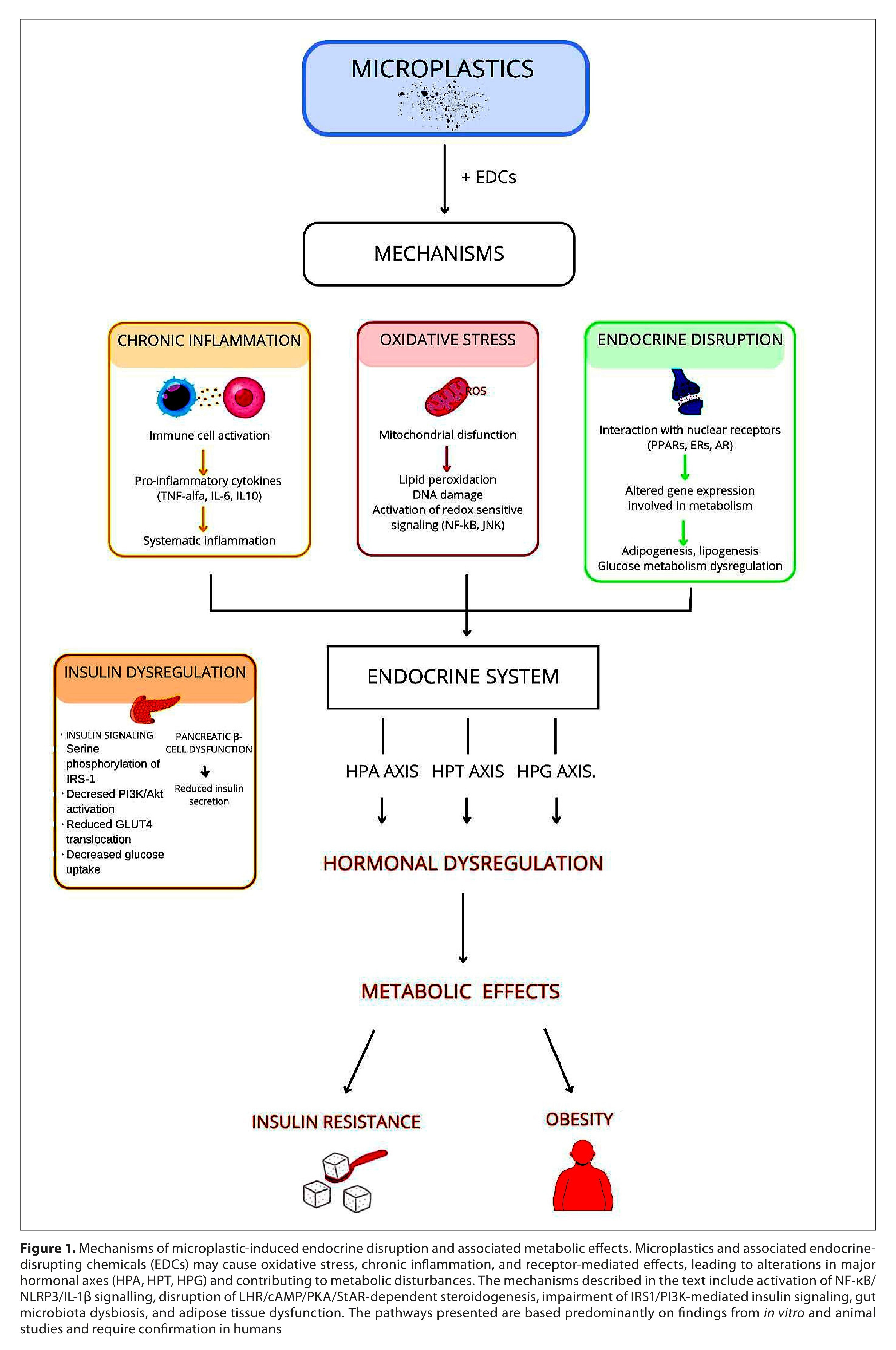 Figure from article: Endocrine and metabolic...